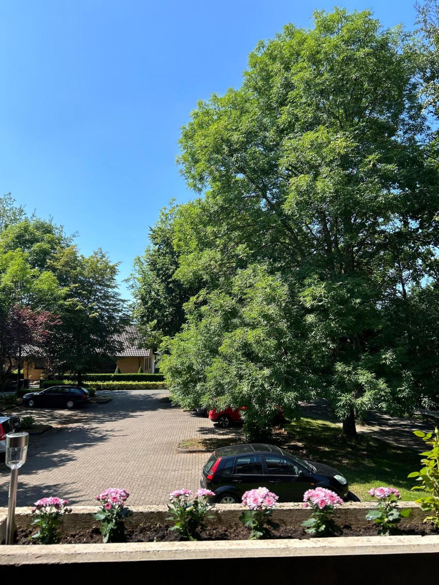 Savon#1 - Innenstadt Netflix-kueche-parking-wlan-kingsizebett-loggia Bad Oeynhausen